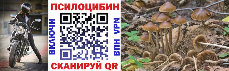 Галлюциногенные грибы прущие грибы  Купить закладки  Новокузнецк 